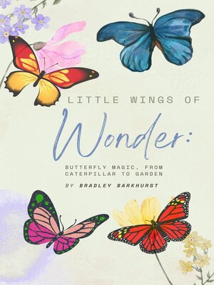 cover image of Little Wings of Wonder